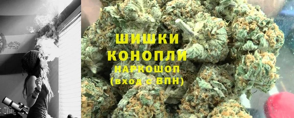 spice Няндома
