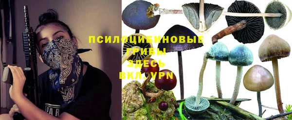 меф Новодвинск