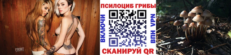Купить закладки  Салехард  Галлюциногенные грибы Magic Shrooms 